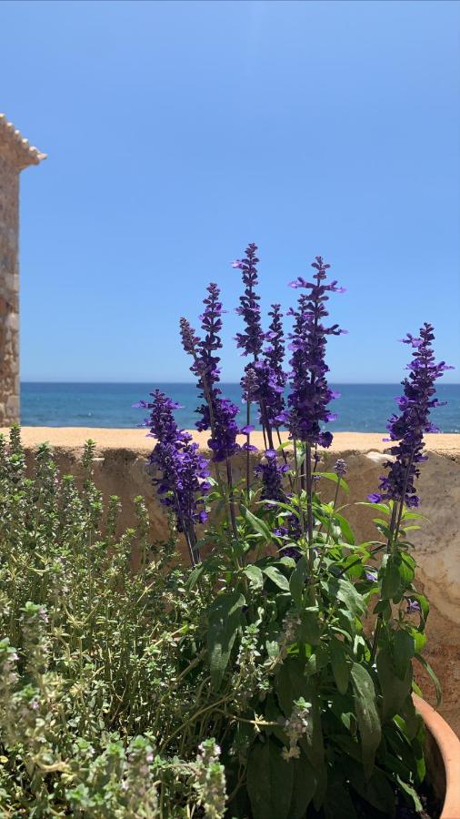 Selinitsa Residence Mani Ayos Nikolaos Dış mekan fotoğraf